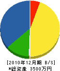 亀田造園 貸借対照表 2010年12月期