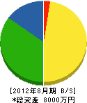 栄進工業 貸借対照表 2012年8月期