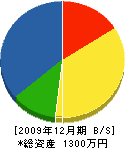 榎本長司 貸借対照表 2009年12月期