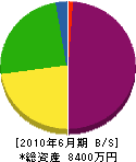 西川工業 貸借対照表 2010年6月期