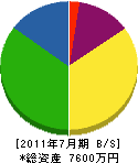 大塚組 貸借対照表 2011年7月期