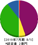山本電気商会 貸借対照表 2010年7月期