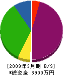 田澤機械 貸借対照表 2009年3月期