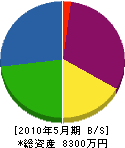 芦川塗装 貸借対照表 2010年5月期