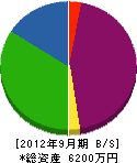 新潟ブレーン 貸借対照表 2012年9月期