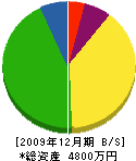 林田美装テント 貸借対照表 2009年12月期