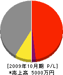 渡辺工業 損益計算書 2009年10月期