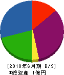 岡田組 貸借対照表 2010年6月期