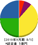 川端電設 貸借対照表 2010年9月期
