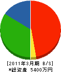 佐藤コーティング 貸借対照表 2011年3月期