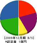 沢田工業 貸借対照表 2009年12月期