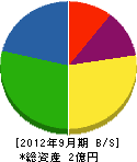 生田工務店 貸借対照表 2012年9月期