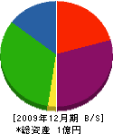丸千千葉建設 貸借対照表 2009年12月期