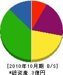 三栄電設工業社 貸借対照表 2010年10月期