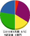 栄光産業 貸借対照表 2010年9月期