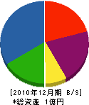 沢田工業 貸借対照表 2010年12月期