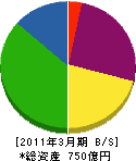 ツバキ・ナカシマ 貸借対照表 2011年3月期