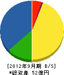 東京ソイルリサーチ 貸借対照表 2012年9月期