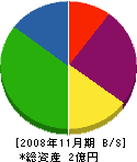 木野内マルヰ 貸借対照表 2008年11月期