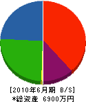 秋田造園土木 貸借対照表 2010年6月期