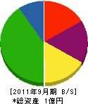 野村総合建装 貸借対照表 2011年9月期