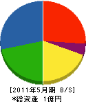 川村工作所 貸借対照表 2011年5月期