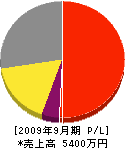 吉田総合企画 損益計算書 2009年9月期
