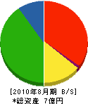 竹村組 貸借対照表 2010年8月期