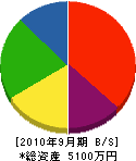 犬塚組 貸借対照表 2010年9月期