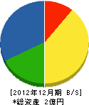 森田商会 貸借対照表 2012年12月期