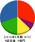 長崎組 貸借対照表 2010年6月期
