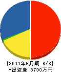 寺田工業 貸借対照表 2011年6月期