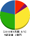 大堀工務店 貸借対照表 2010年9月期