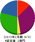 丁ケ阪商会 貸借対照表 2013年2月期
