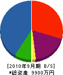 片山電気工事 貸借対照表 2010年9月期