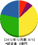 中川電機工業所 貸借対照表 2012年12月期