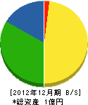 藤電工 貸借対照表 2012年12月期