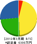 青山電気商会 貸借対照表 2012年3月期