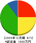 渡辺畳店 貸借対照表 2009年12月期