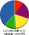 宮沢造園 貸借対照表 2010年6月期