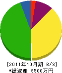 シンコー工業 貸借対照表 2011年10月期