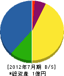 藤沢組 貸借対照表 2012年7月期