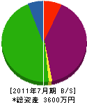 大槻建設 貸借対照表 2011年7月期