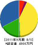 中澤電工 貸借対照表 2011年9月期