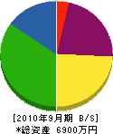 武藤管工 貸借対照表 2010年9月期