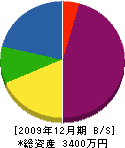 石岡工業 貸借対照表 2009年12月期