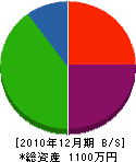 ヤマサキ設備 貸借対照表 2010年12月期