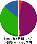 遠藤商店 貸借対照表 2009年5月期