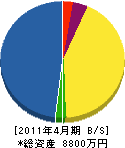 川島植物園 貸借対照表 2011年4月期