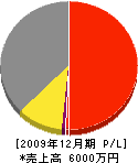 箱根建設 損益計算書 2009年12月期
